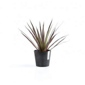 Vaso Ecopots Amsterdam Mini...