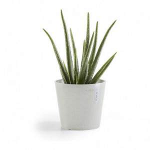 Vaso Ecopots Amsterdam Mini...