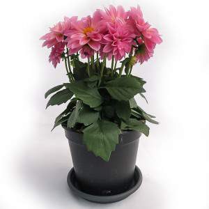 DALIA VASE 14cm PINK