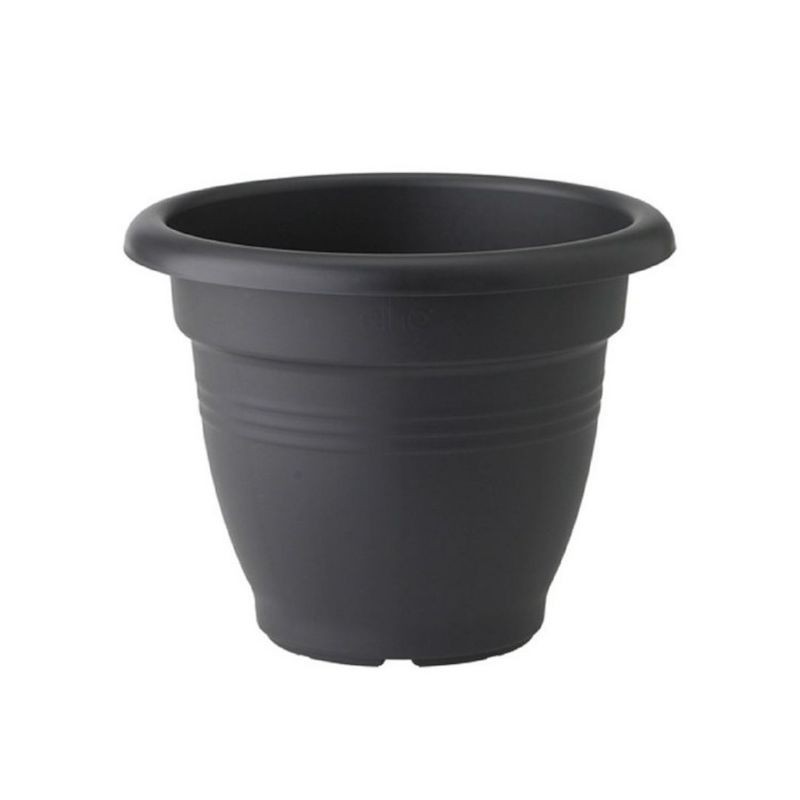 Vaso Elho Green Basics...