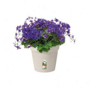 Elho Green Basics Growpot...