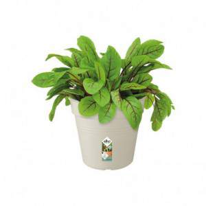 Elho Green Basics Growpot...