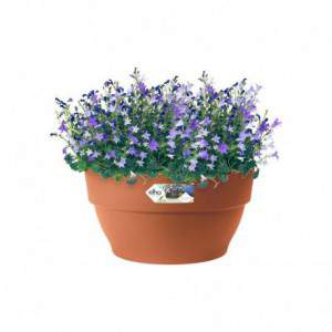 Elho Vibia Campana Bowl 27...