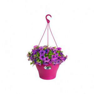 Elho Corsica Pendant Basket...