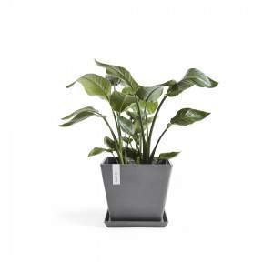 Ashortwalk ECOPOTS - Pires quadrado em plástico reciclado, comprimento 28 cm x altura 3 cm, cor: cinza