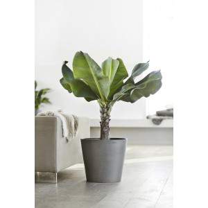 ECOPOTS Amsterdam grigio