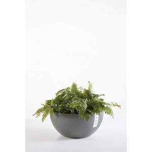 Ashortwalk ECOPOTS Brüssel – Pflanztopf aus recyceltem Kunststoff, Durchmesser 30 cm x Höhe 14 cm