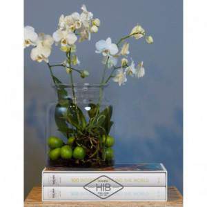 Glass Vase Bottle Marcy H23...