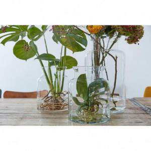 Glass Vase Bottle Marcy H55...