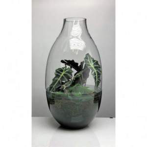 Ramon H64 D34 Terrarium