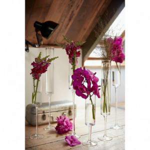 Glass on Foot H49 D9,5