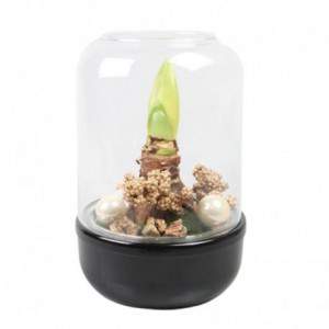 Chantal H25 D16 terrarium