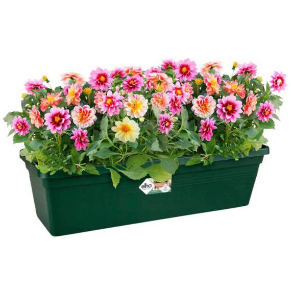 Green basics trough balcony 40cm verde foglia