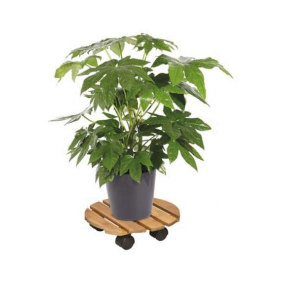 Carrito para plantas con...