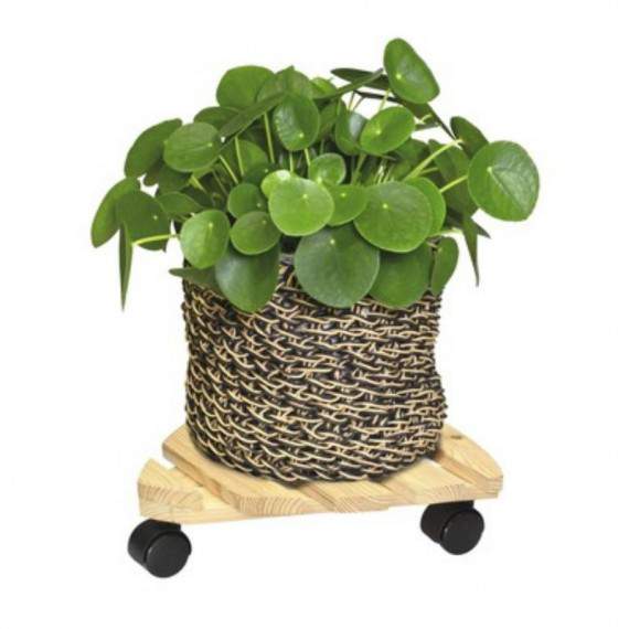 Carrito para plantas de...