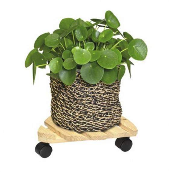 Multi Roller Hout Plant...