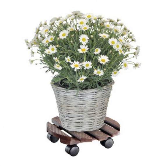 Chariot pour Plantes de...