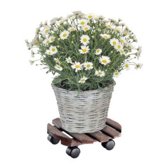 Trolley for Country Plants...