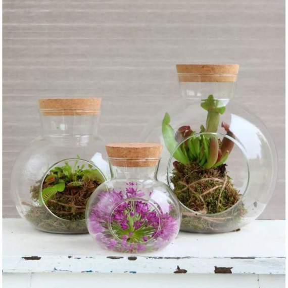 Terrarium Boule Avec...