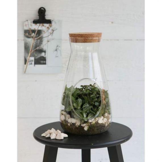 Bouteille Terrarium Conique...