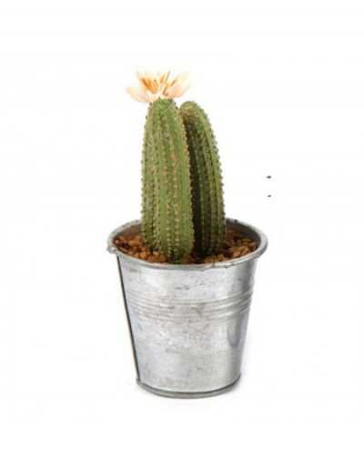 Cactus Artificial Plant in...