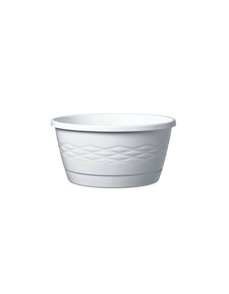 Vaso Nuova Alfa con... Vaso Nuova Alfa con...