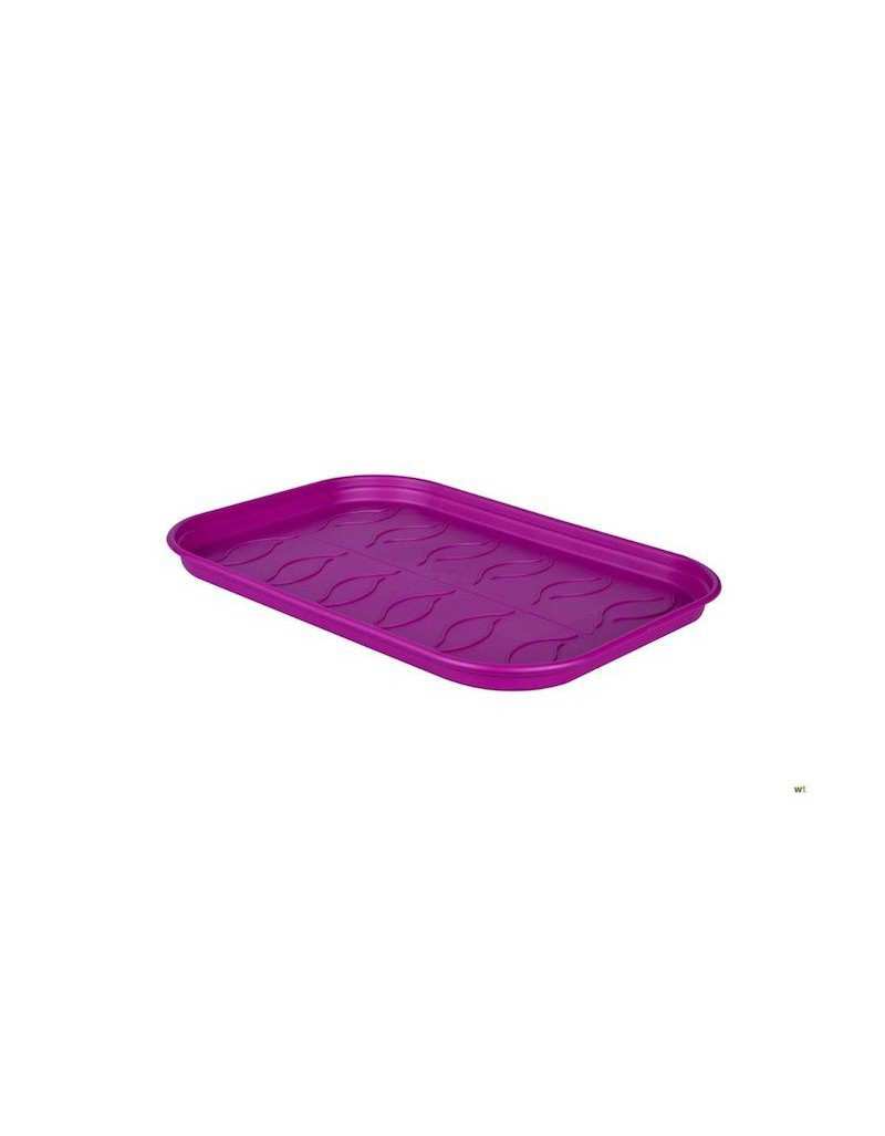 Piattino Grow Tray Green... Piattino Grow Tray Green...