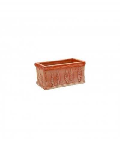 Cypress box 39 cm
