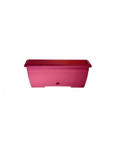 Caja Mini Oasi 35cm Fucsia