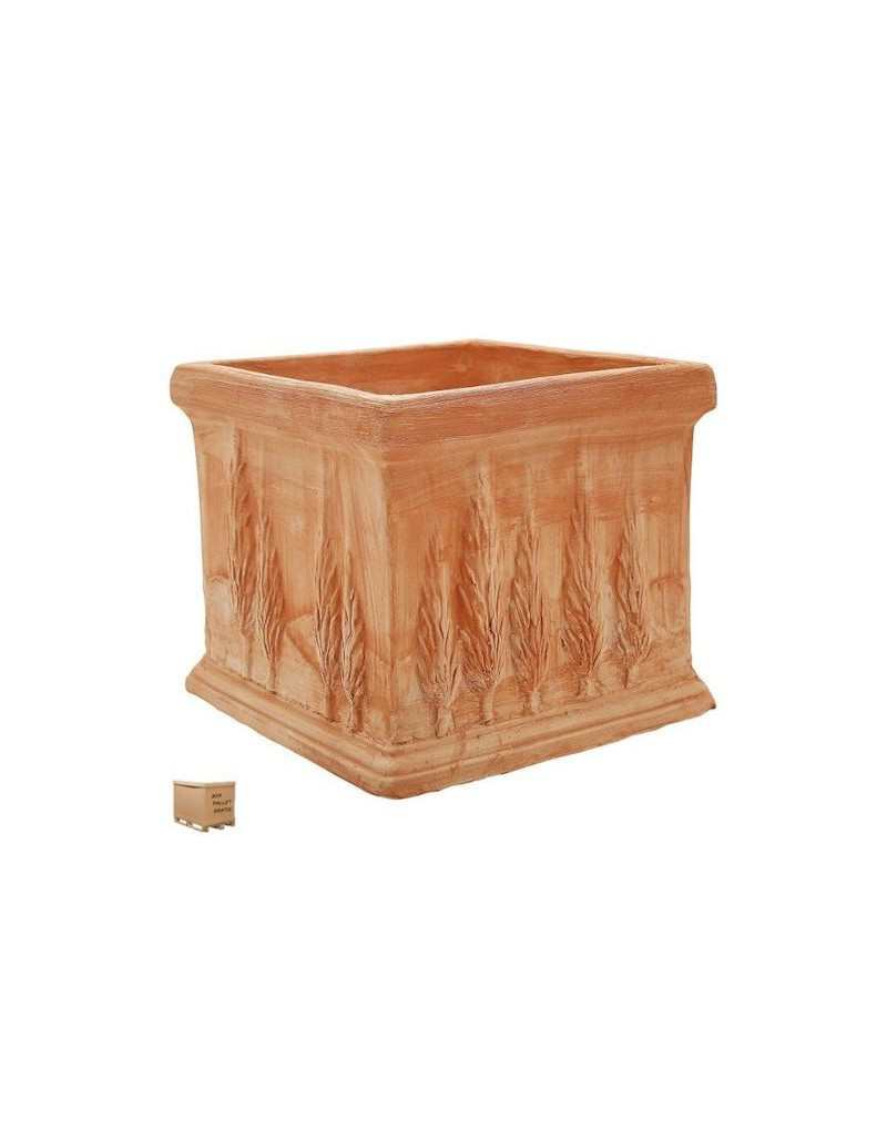 Vaso Quadro Cipressi 15 cm... Vaso Quadro Cipressi 15 cm...