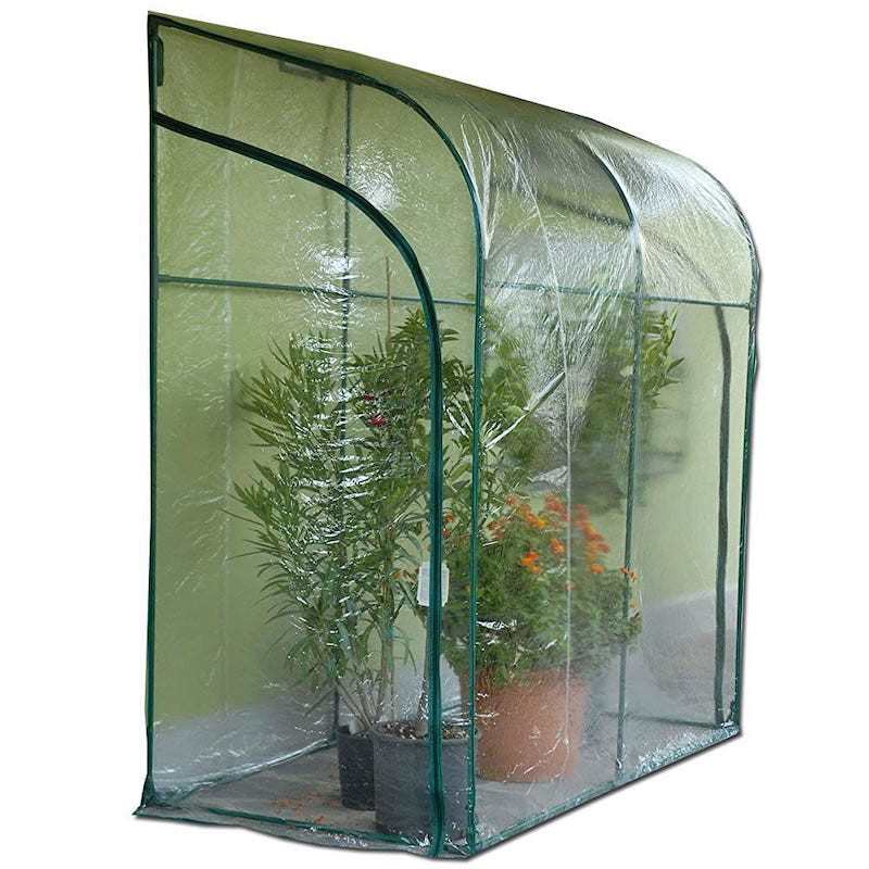 Oleander Wall Greenhouse Oleander Wall Greenhouse