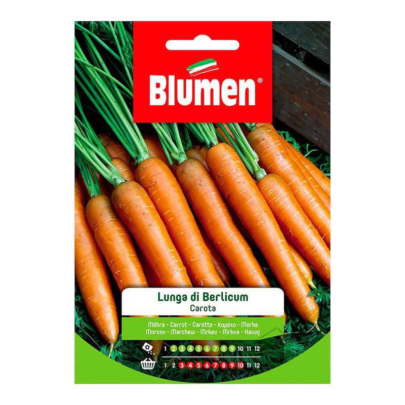 Berlicum Long Carrot Seeds...