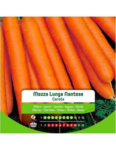 Half Long Nantese Carrot...