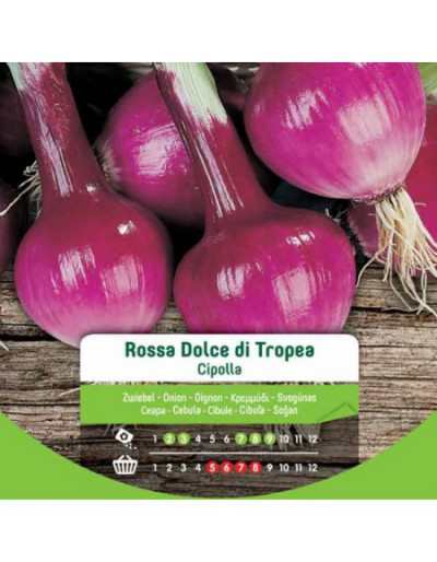 Tropea Sweet Red Onion...