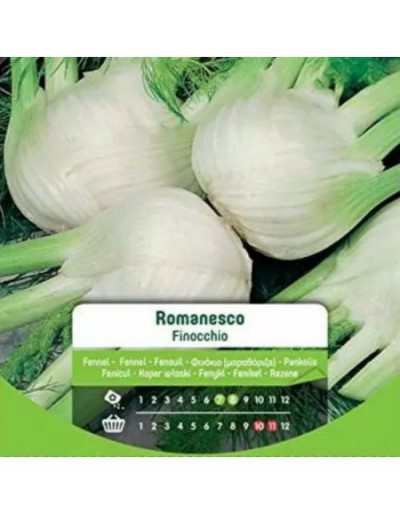 Romanesco fennel seeds in...