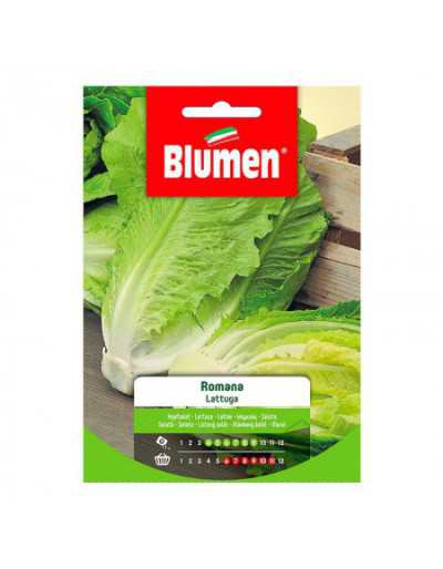 Romaine Lettuce Seeds in Bag