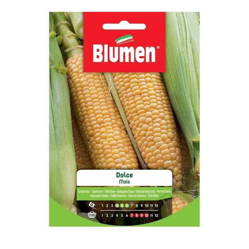 Sweet Corn Seeds in Bag Sweet Corn Seeds in Bag