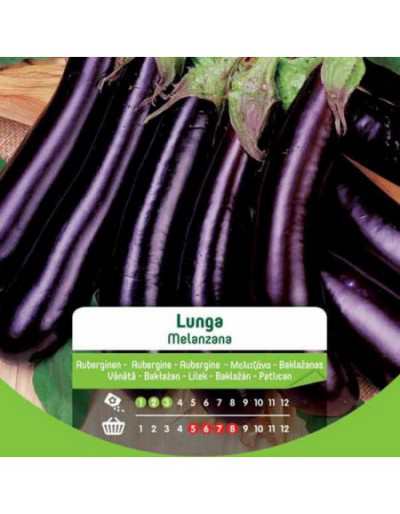 Long Eggplant Seeds in Bag