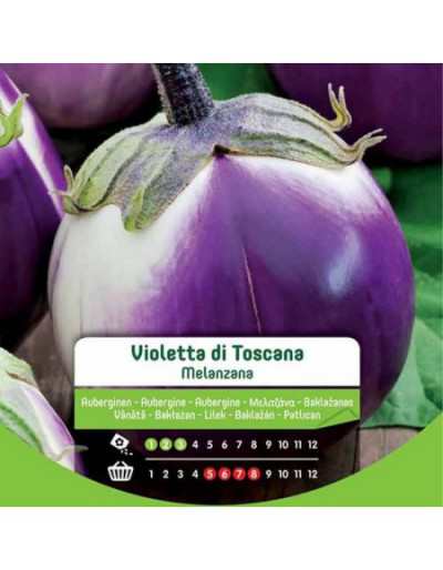 Tuscan Violet Aubergine Seeds