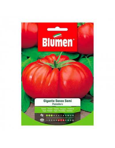 Semillas de tomate sin semillas gigantes en bolsa