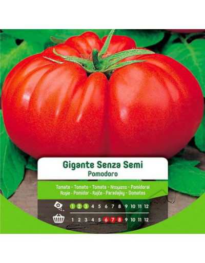 Jätte fröfria tomatfrön i påse