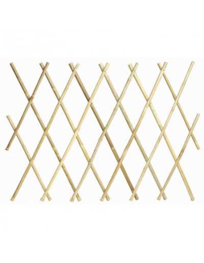 Extensible Trellis in...