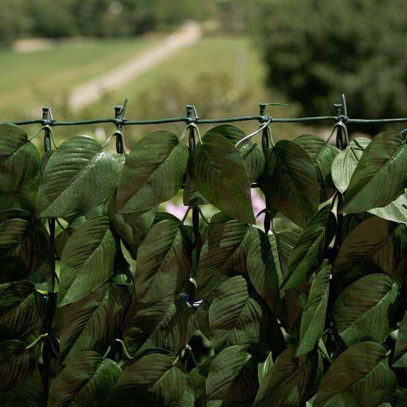 Verdecor hedge with laurel...