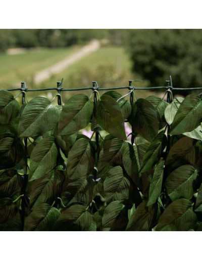 Verdecor hedge with laurel...