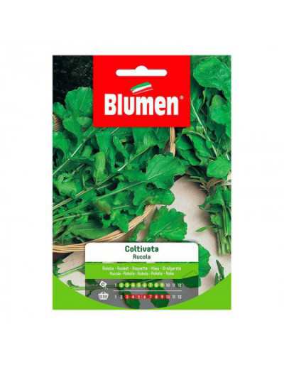 Semi di Rucola Coltivata in Busta - GardenStuff