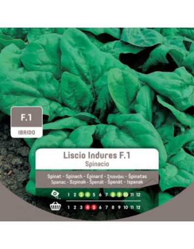 Indures F.1 Smooth Spinach...