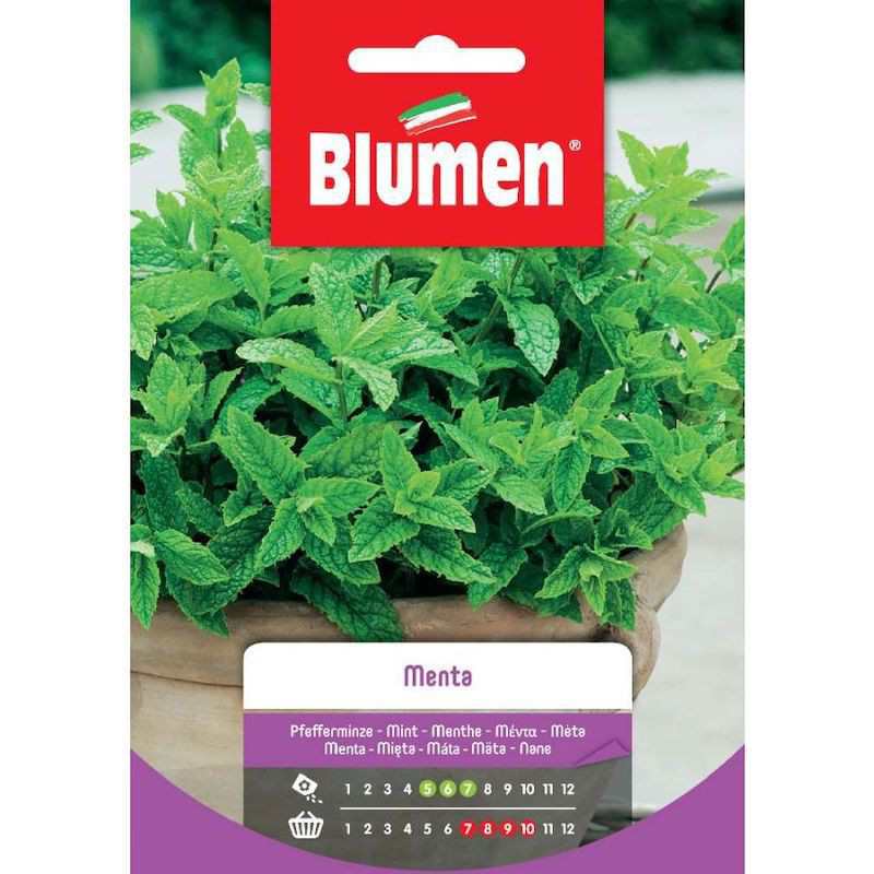 Semi di Menta in Busta Semi di Menta in Busta
