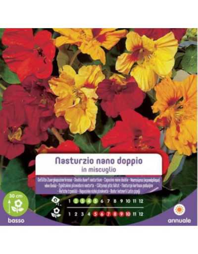 Blandade Dvärg Nasturtium frön