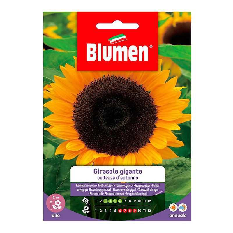 Olbrzymie nasiona... Olbrzymie nasiona...