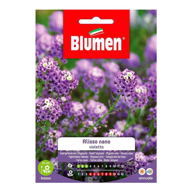 Alisso Nano Violet Seeds in... Alisso Nano Violet Seeds in...